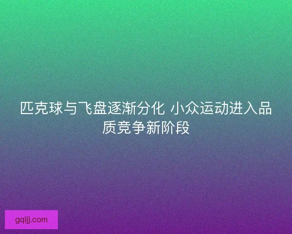 匹克球与飞盘逐渐分化 小众运动进入品质竞争新阶段